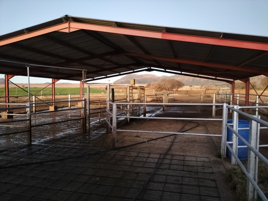 5 Bedroom Property for Sale in Queenstown Rural Eastern Cape